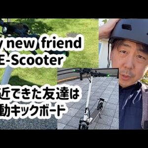 #dqn  許せない　原付扱の電動キックボード　メットなし　#信号無視  　#ドラレコ