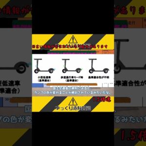 ほんとは自動で進んでくれる電動キックボードの力を何一つ利用せず科学の力を無力化するらこちゃん